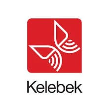 Kelebek mobilya